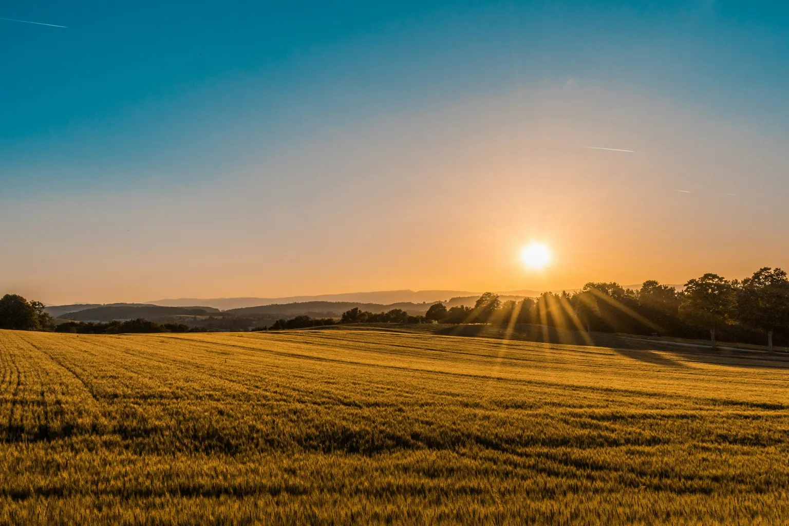 Rolling green farm fields at golden hour