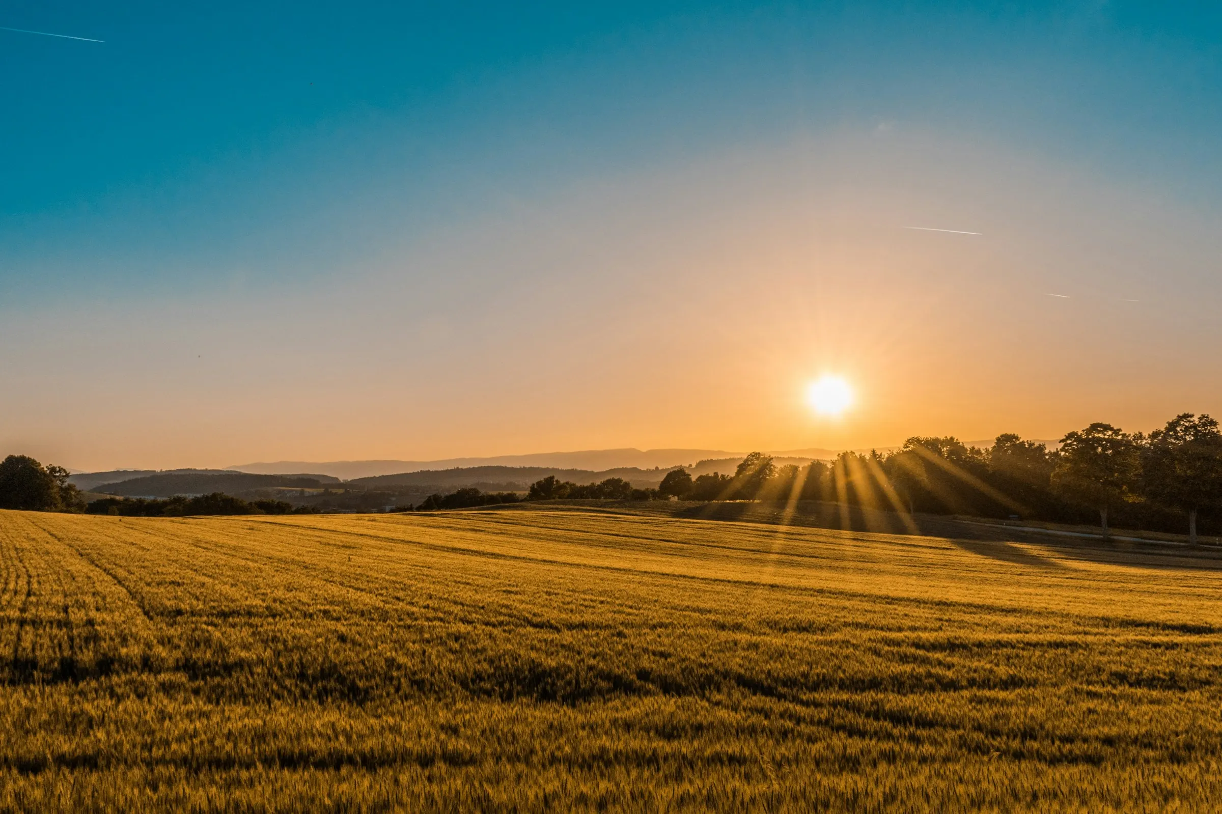 Rolling green farm fields at golden hour